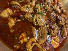 -沧州成老灶火锅鸡(鹿泉总店)