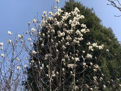 -丰台花园