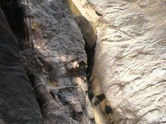 -广州白江湖森林公园