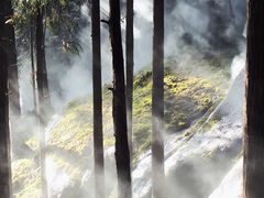 -玉苍山国家森林公园