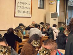 -老刘家永盛斋·传统泡馍(东关南街店)