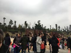 -枫香湖儿童公园