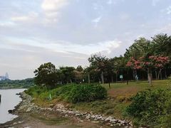 -深圳人才公园