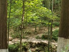 -莫干山风景区