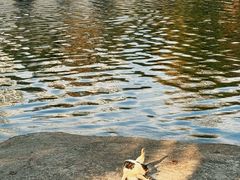 -荔湾湖公园