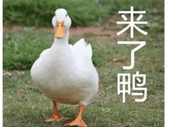 -酒井酱子·深夜食堂(东城汇店)