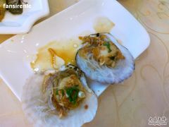 元贝&nbsp;-海岛渔村大酒店(云霄路店)