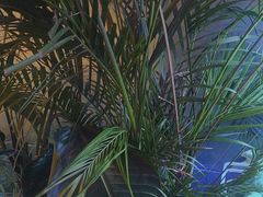 -CIAO·团建聚餐·生日派对轰趴馆(福田店)