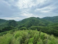 -宁波浙东大竹海景区