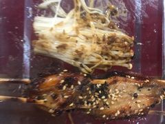 -老黑板筋(顺义总店)