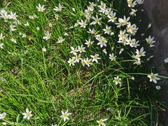 -西安市长乐公园