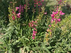 -赛汗塔拉风情园