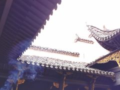 -猫的天空之城概念书店(景德镇陶溪川店)