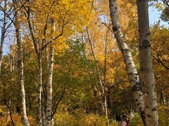 -白草畔自然风景区