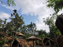-海南槟榔谷黎苗文化旅游区