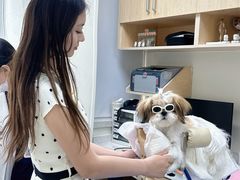 -美联众合动物医院·24h京西诊疗中心