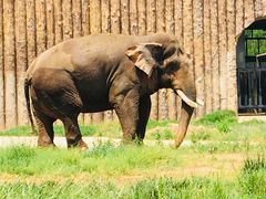 -济南野生动物世界