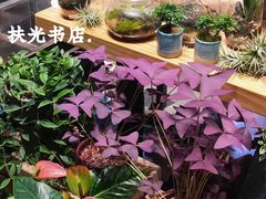 -扶光书店(中环店)