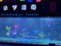 -泉城欧乐堡海洋极地世界