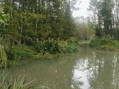 -桤木河湿地公园