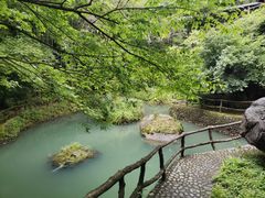 -黄山翡翠谷景区