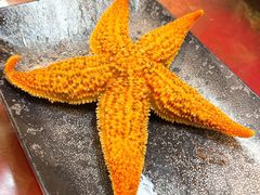 烤海星-老东镇啤酒屋海鲜加工·蒸汽海鲜·海鲜烧烤(台东店)