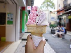 -柠檬车露(卖草地店)