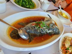 -骏莱海鲜鱼港(五角场店)