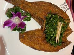 -香巴拉云南餐厅(华莱坞店)