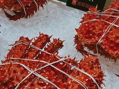 帝王蟹-紫阳海鲜楼·传承闽味(长乐路总店)