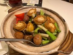 红葱头野菌啫活鲍-利苑酒家(宜安广场店)