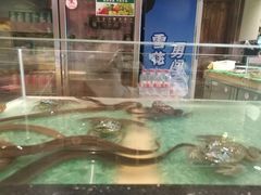 -洪湘记川湘·甲鱼馆(四海凯悦美食广场店)