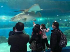 -苏州海洋馆
