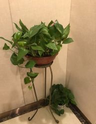 -Lily纤美·科技减脂中心