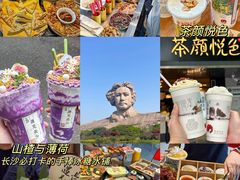 -橘子洲景区