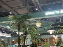 -春润大地海南椰子鸡(沙井京基百纳广场店)