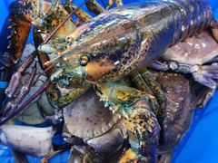 -蟹之国·精品蟹料理(极地店)