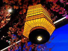 大堂-绿茶餐厅(昌平悦荟店)