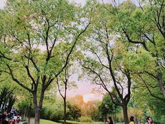 -华东政法大学(松江校区)
