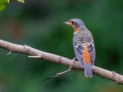 -苏州河梦清园环保主题公园