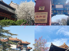 -雍和宫