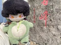 -东白山