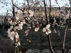 -三里河公园
