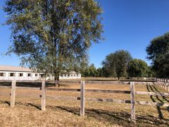 -北京群众马术培训基地