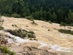 -黄龙山原始森林景区