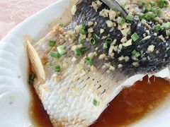 -天鹿湖森林公园