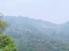 -杨家堂村