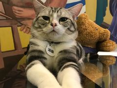 -咖法森林·咖啡  酒吧(天河店)