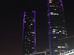 -演武大桥观景平台