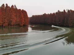 -上海海湾国家森林公园